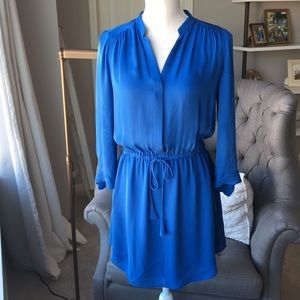 Babaton Bennet 100% Silk Dress